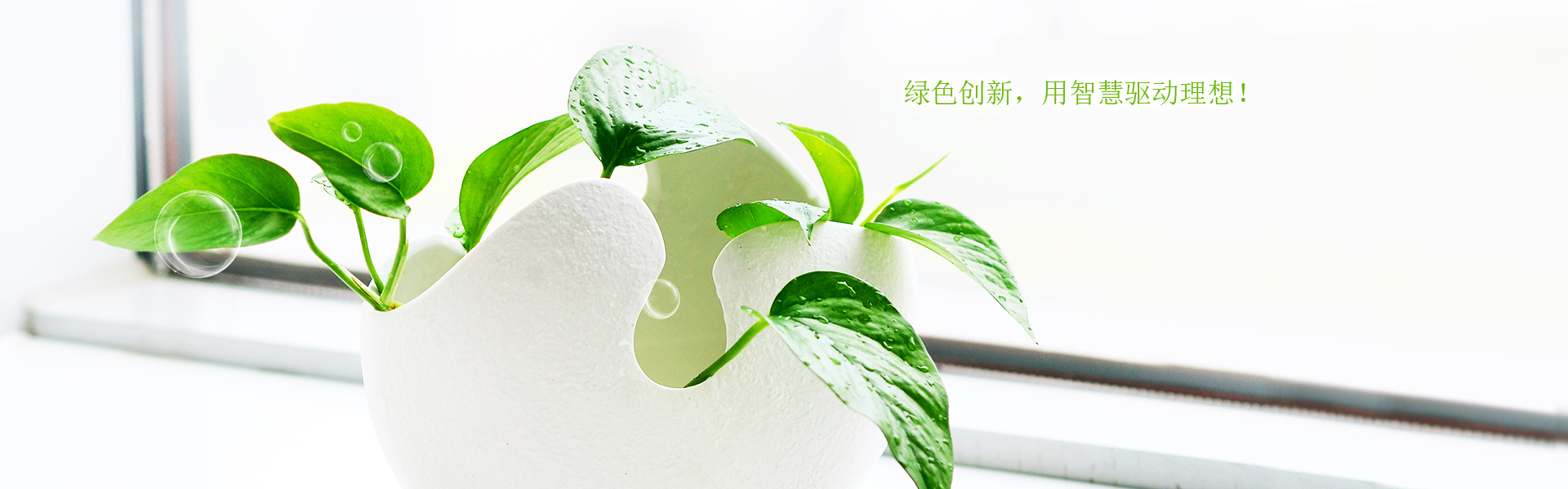 哈尔木BANNER